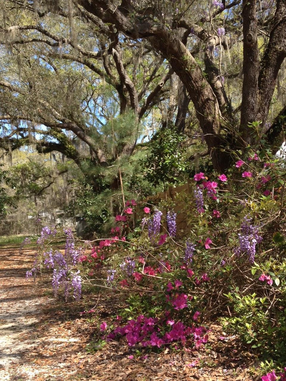 262 Gilmore Road Santa Rosa Beach, FL 32459 - Photo 15 of 18 Springtime