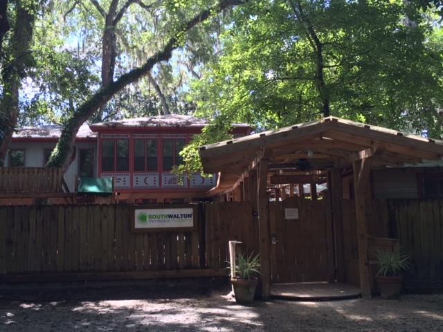 262 Gilmore Road Santa Rosa Beach, FL 32459 - Photo 18 of 18 South Walton Montessori Academy