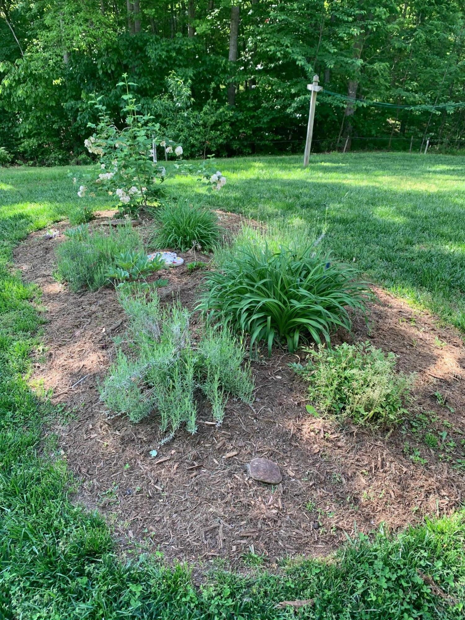 832 Old Henry Road Henry, VA 24102 - Photo 28 of 30 a view of a grassy field with trees