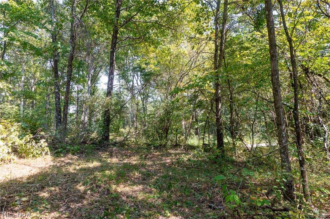 0 3 County Road Glouster, OH 45732 - Photo 10 of 20 Gallery Image 10