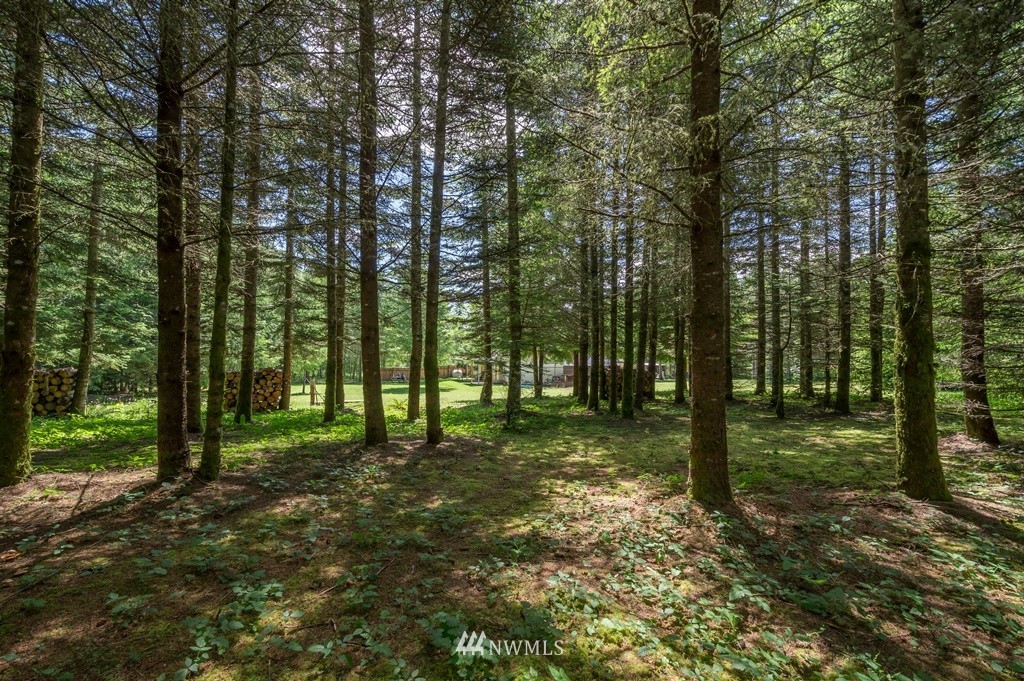 277-30 Kruger Road Onalaska, WA 98570 - Photo 5 of 20 Gallery Image 5