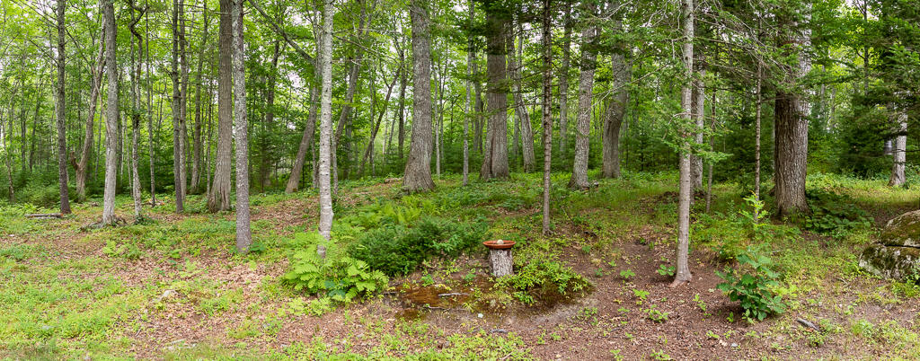 211 Hart Road Warren, ME 04864 - Photo 31 of 31 LVY_4149-Pano