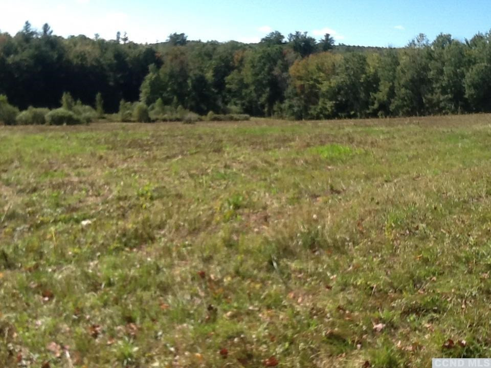 0 Knapps Road Stephentown, NY 12168 - Photo 16 of 18 Photo 16