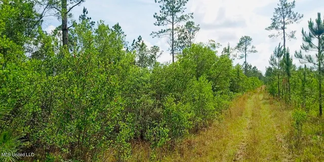 $179,500 | Grafe Homestead Road, Moss Point, MS 39562