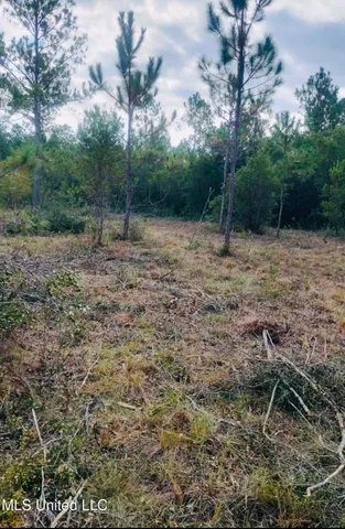 $179,500 | Grafe Homestead Road, Moss Point, MS 39562