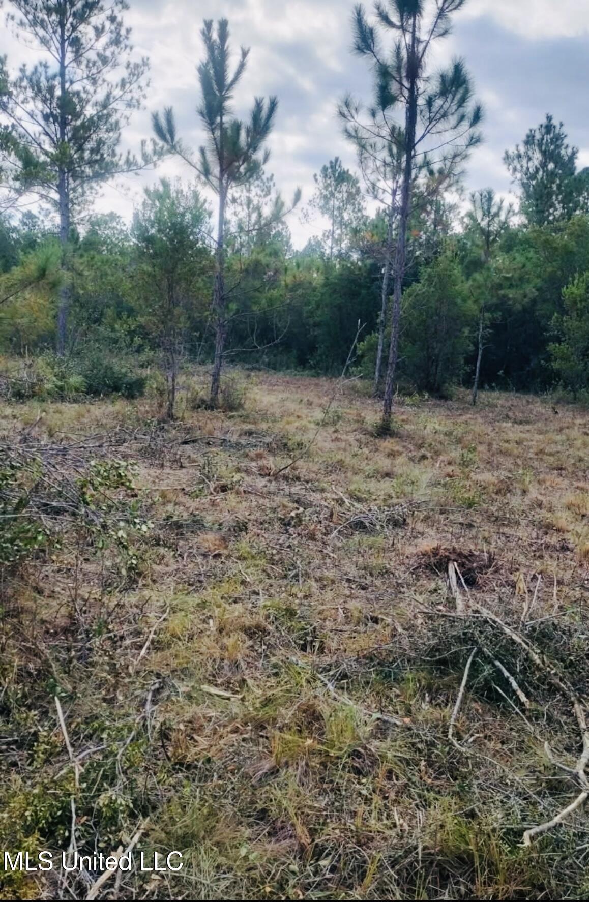 Grafe Homestead Road Moss Point, MS 39562 - Photo 8 of 9 IMG_7230
