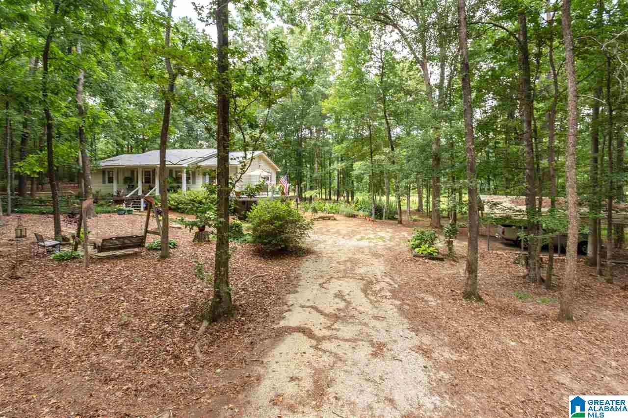 501 Eagle Bald Road Jacksonville, AL 36265 - Photo 33 of 49 Gallery Image 33