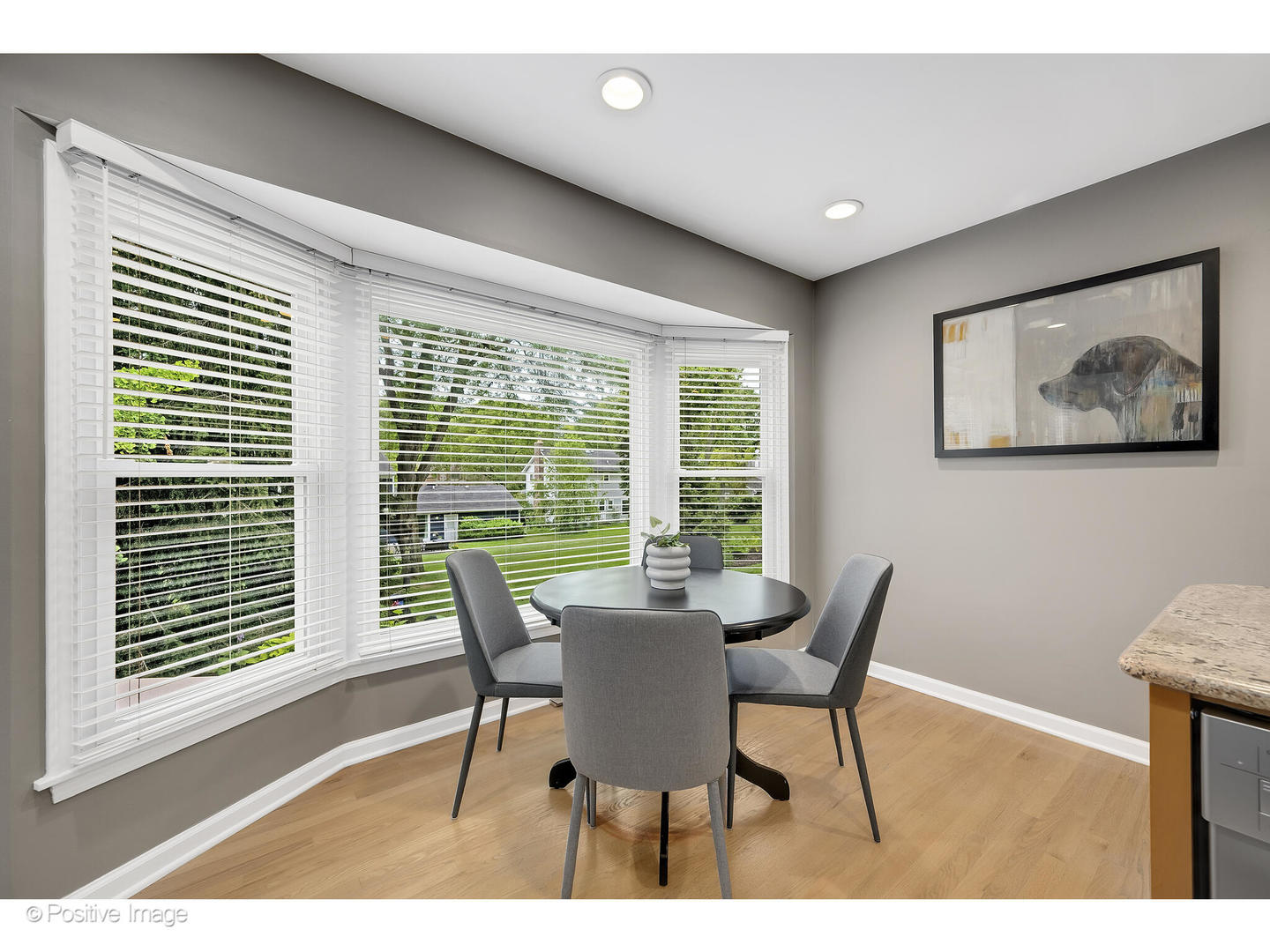 3672 Venard Road Downers Grove, IL 60515 - Photo 15 of 44 a dining room with furniture and wooden floor
