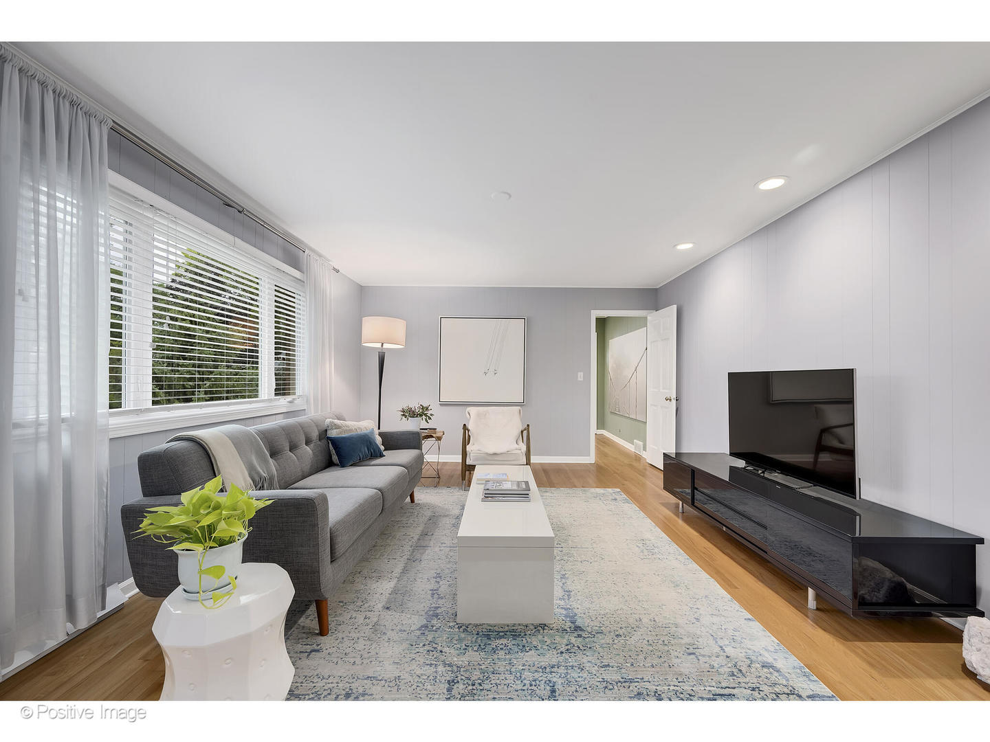 3672 Venard Road Downers Grove, IL 60515 - Photo 18 of 44 a living room with furniture and a flat screen tv