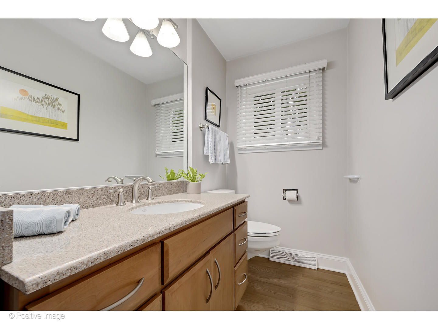 3672 Venard Road Downers Grove, IL 60515 - Photo 20 of 44 a bathroom with a sink and a mirror