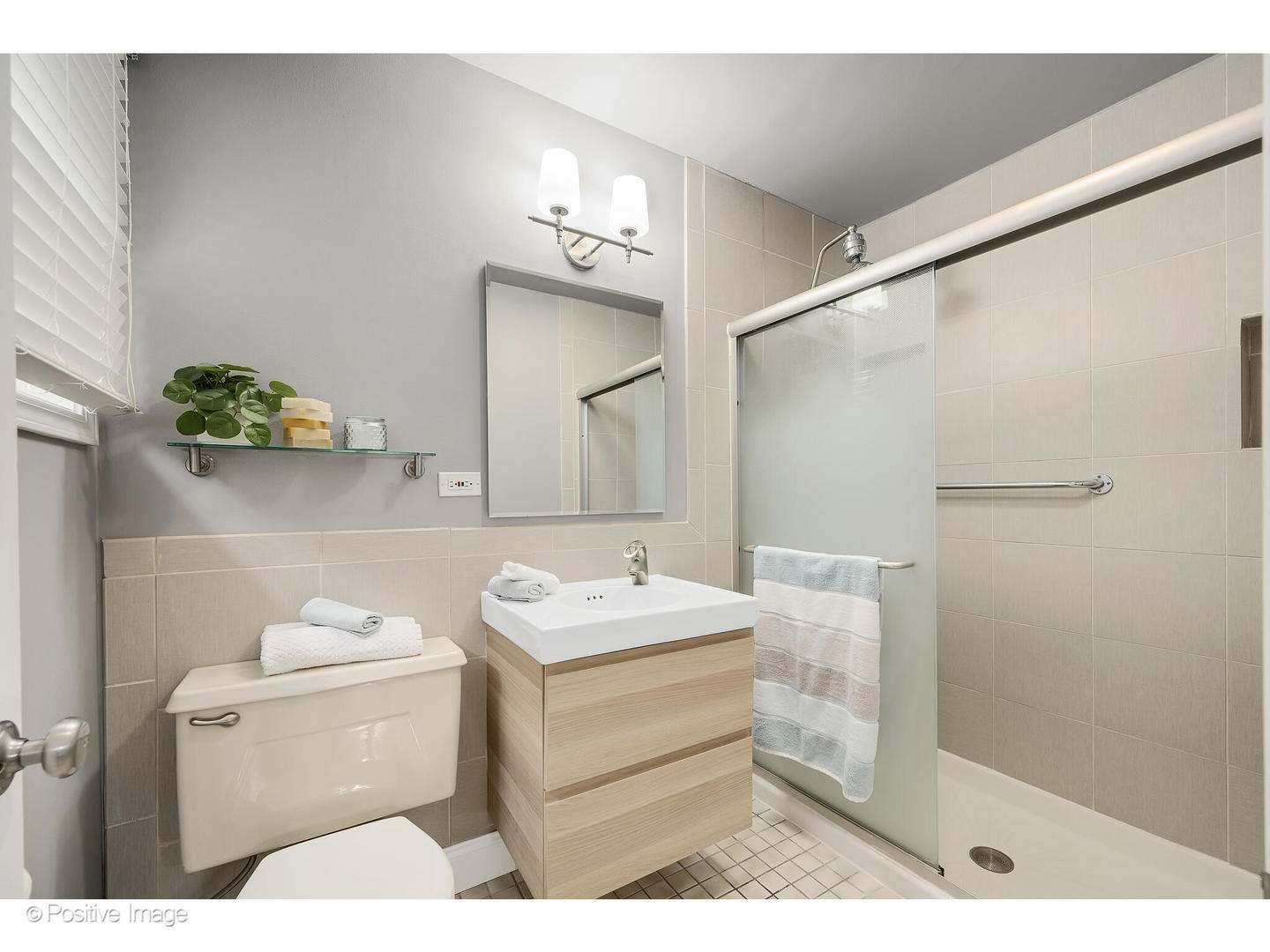 3672 Venard Road Downers Grove, IL 60515 - Photo 22 of 44 a bathroom with a sink a toilet and shower