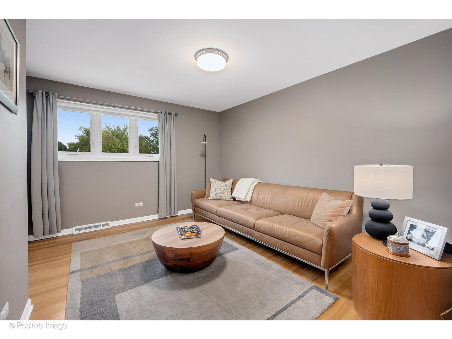 3672 Venard Road Downers Grove, IL 60515 - Photo 23 of 44 a living room with furniture and a window