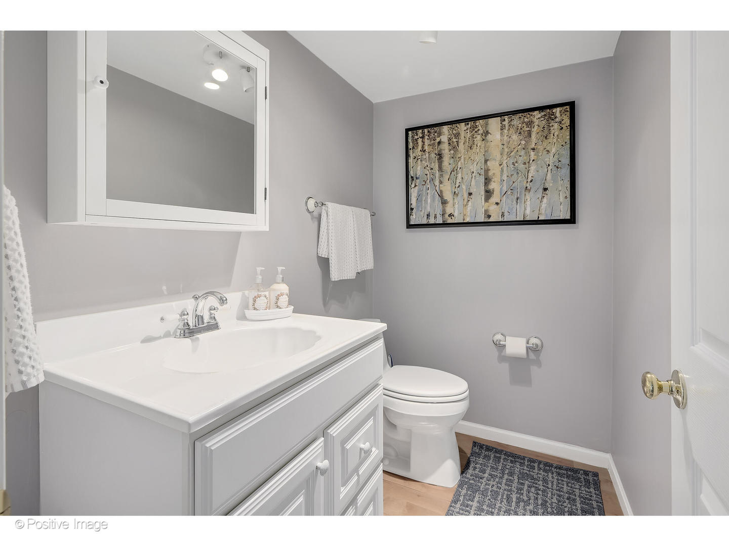 3672 Venard Road Downers Grove, IL 60515 - Photo 31 of 44 a bathroom with a sink toilet and a mirror