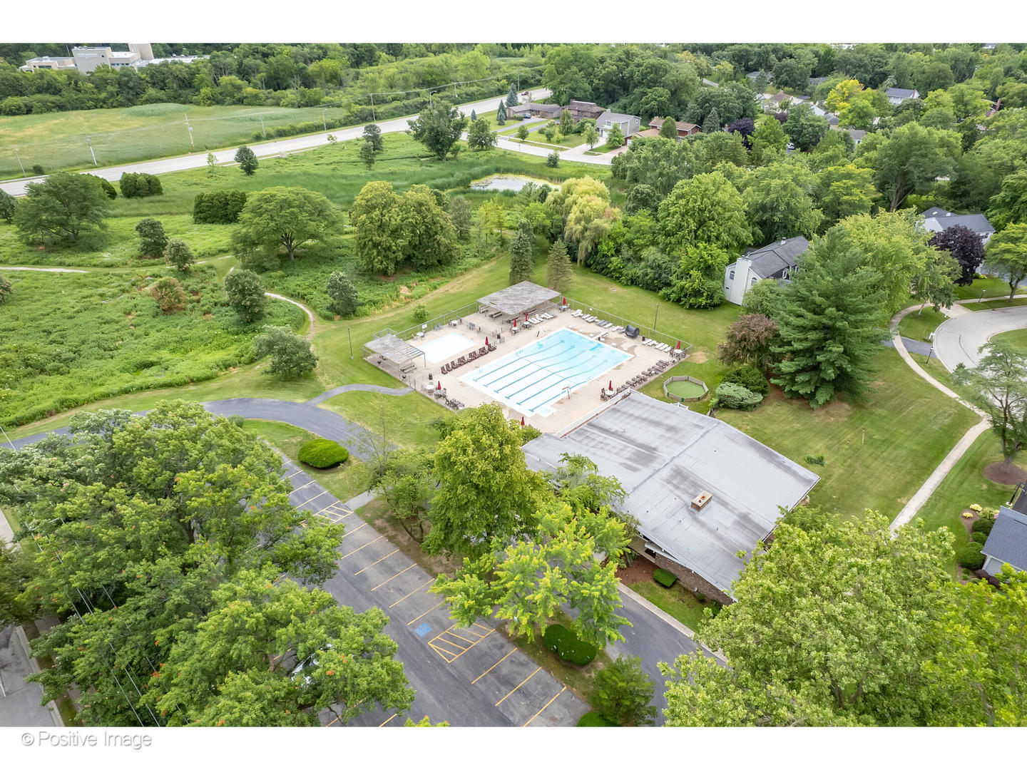 3672 Venard Road Downers Grove, IL 60515 - Photo 36 of 44 a view of a garden with a lake