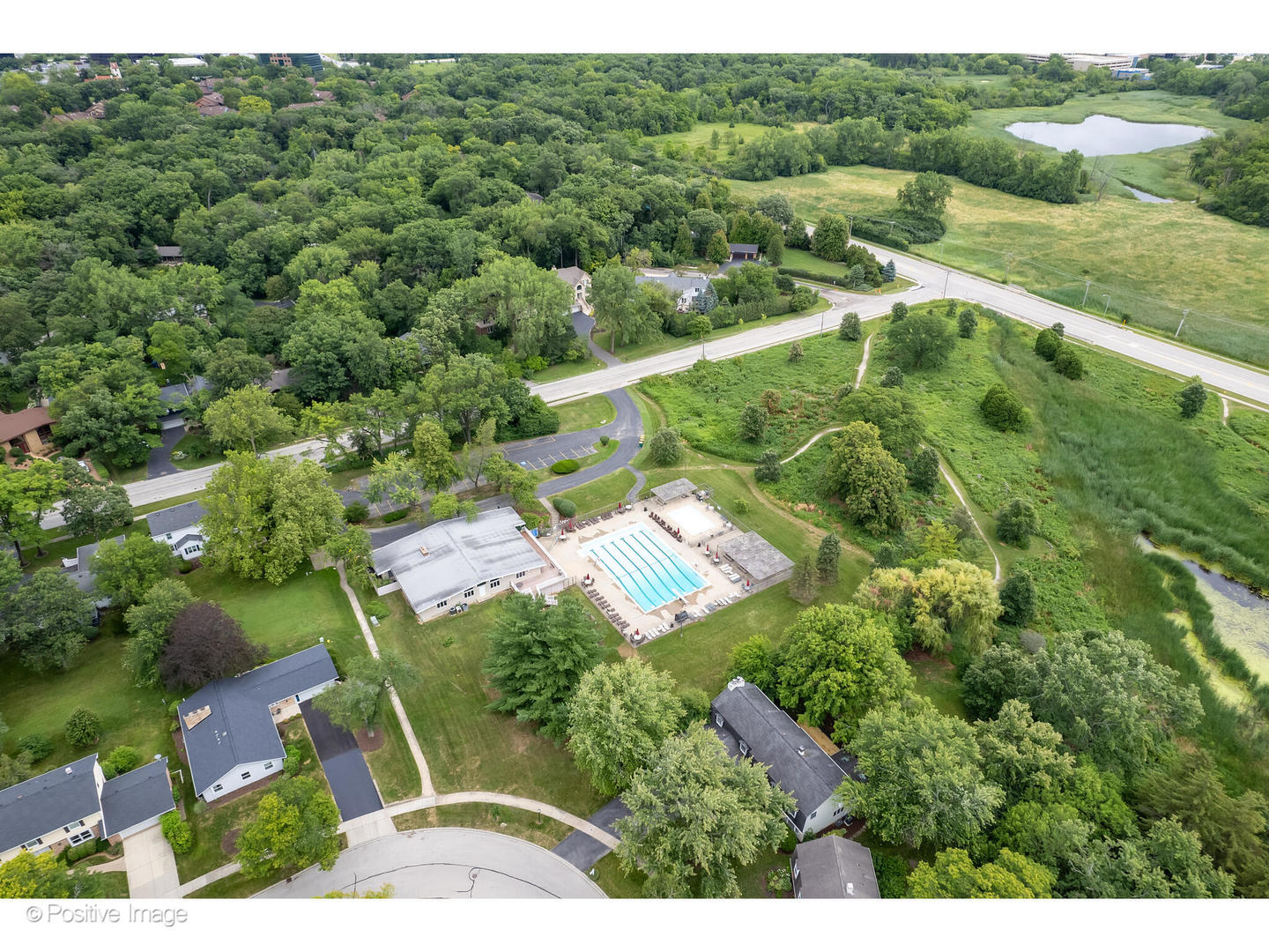 3672 Venard Road Downers Grove, IL 60515 - Photo 37 of 44 a view of a forest with a street
