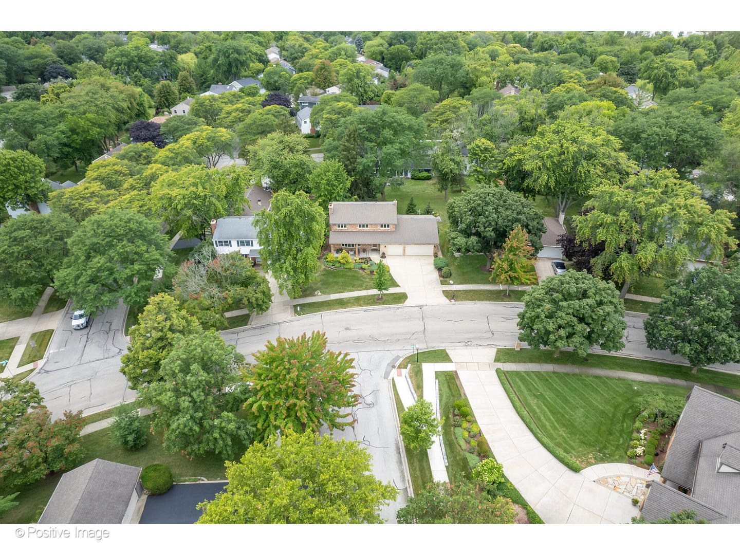 3672 Venard Road Downers Grove, IL 60515 - Photo 42 of 44 a view of yard with green space