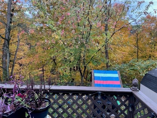 113 Louis Drive McKees Rocks, PA 15136 - Photo 11 of 25 a view of a bench in a yard