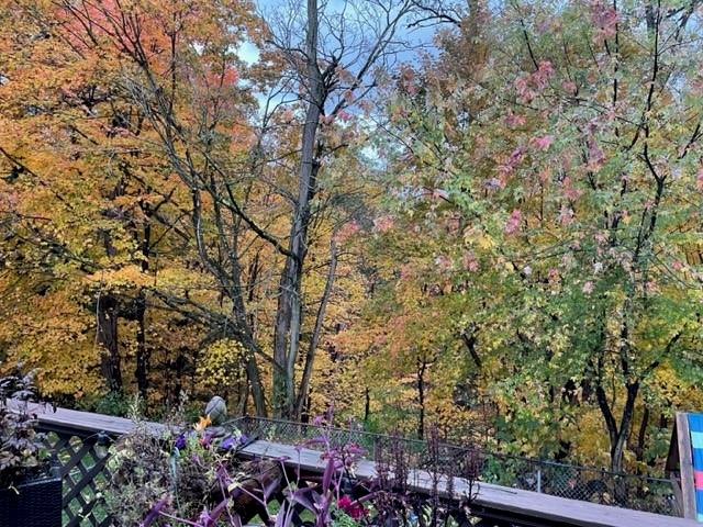 113 Louis Drive McKees Rocks, PA 15136 - Photo 20 of 25 a view of city from balcony