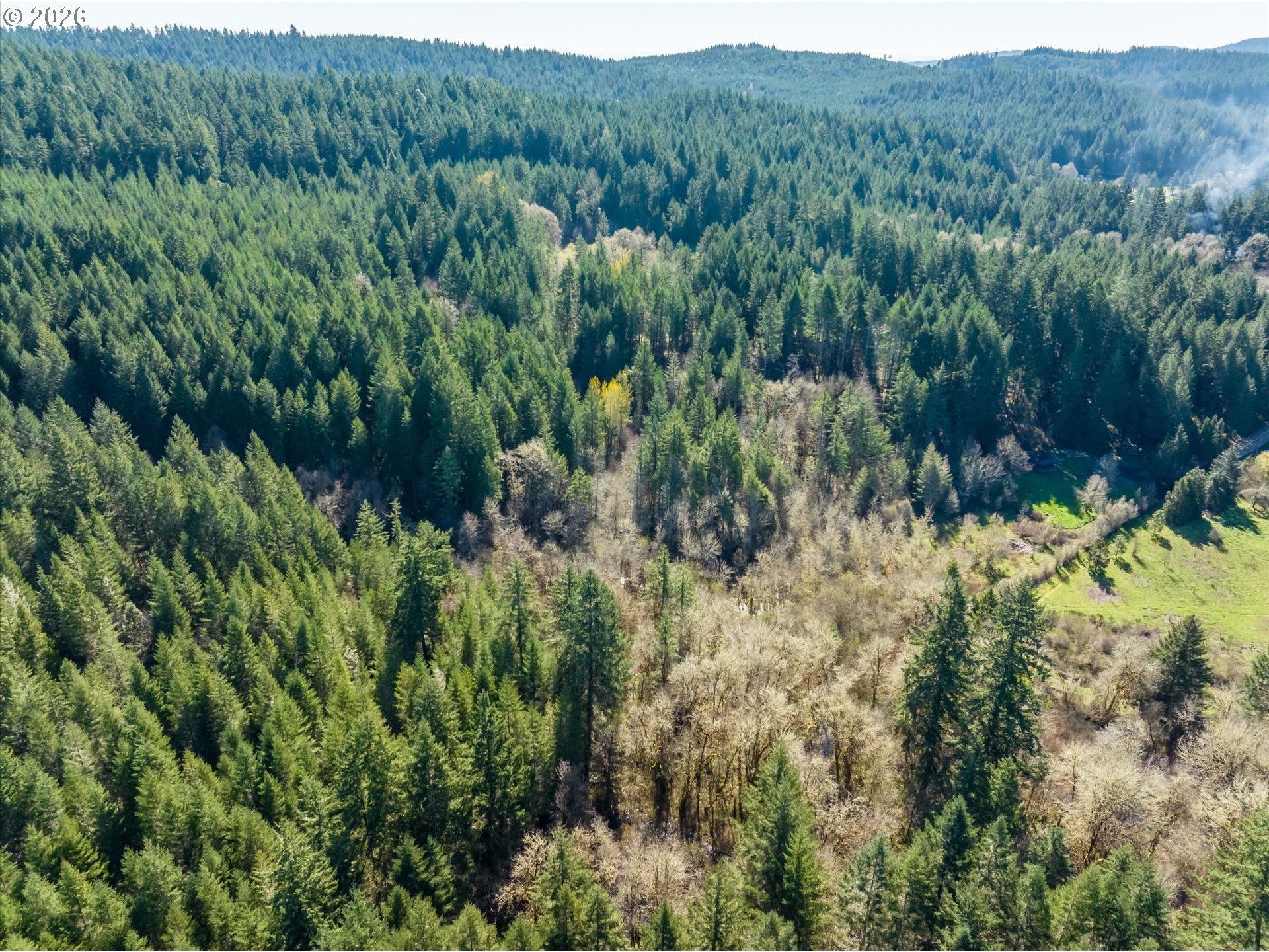 89435 Fields Road Elmira, OR 97437 - Photo 31 of 33