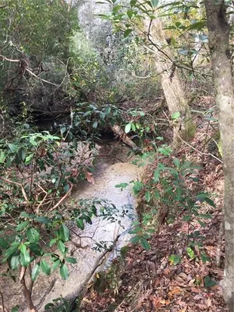 $120,000 | Tbd Tbd 62nd Highway, Angie, LA 70426