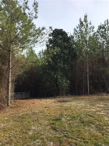 $120,000 | Tbd Tbd 62nd Highway, Angie, LA 70426