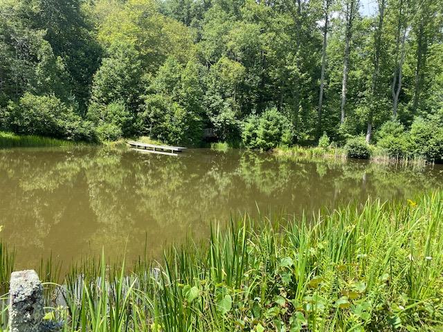 Tbd Tbd Retreat Road, Unit 1009 Laurel Fork, VA 24352 - Photo 1 of 1 Gallery Image 1