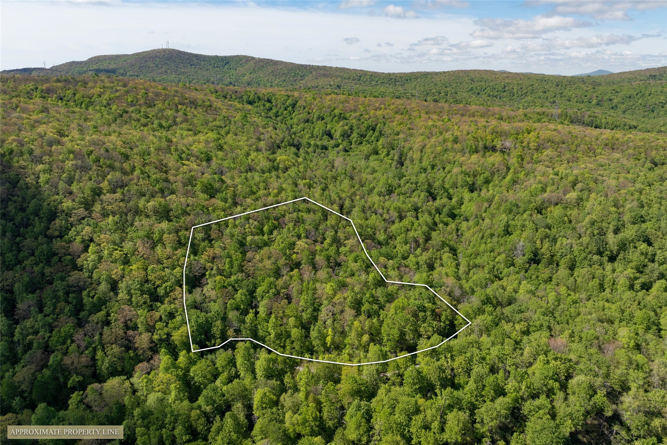 Tbd Tbd Long Ridge Road Lake Toxaway, NC 28747 - Photo 3 of 13 Gallery Image 3