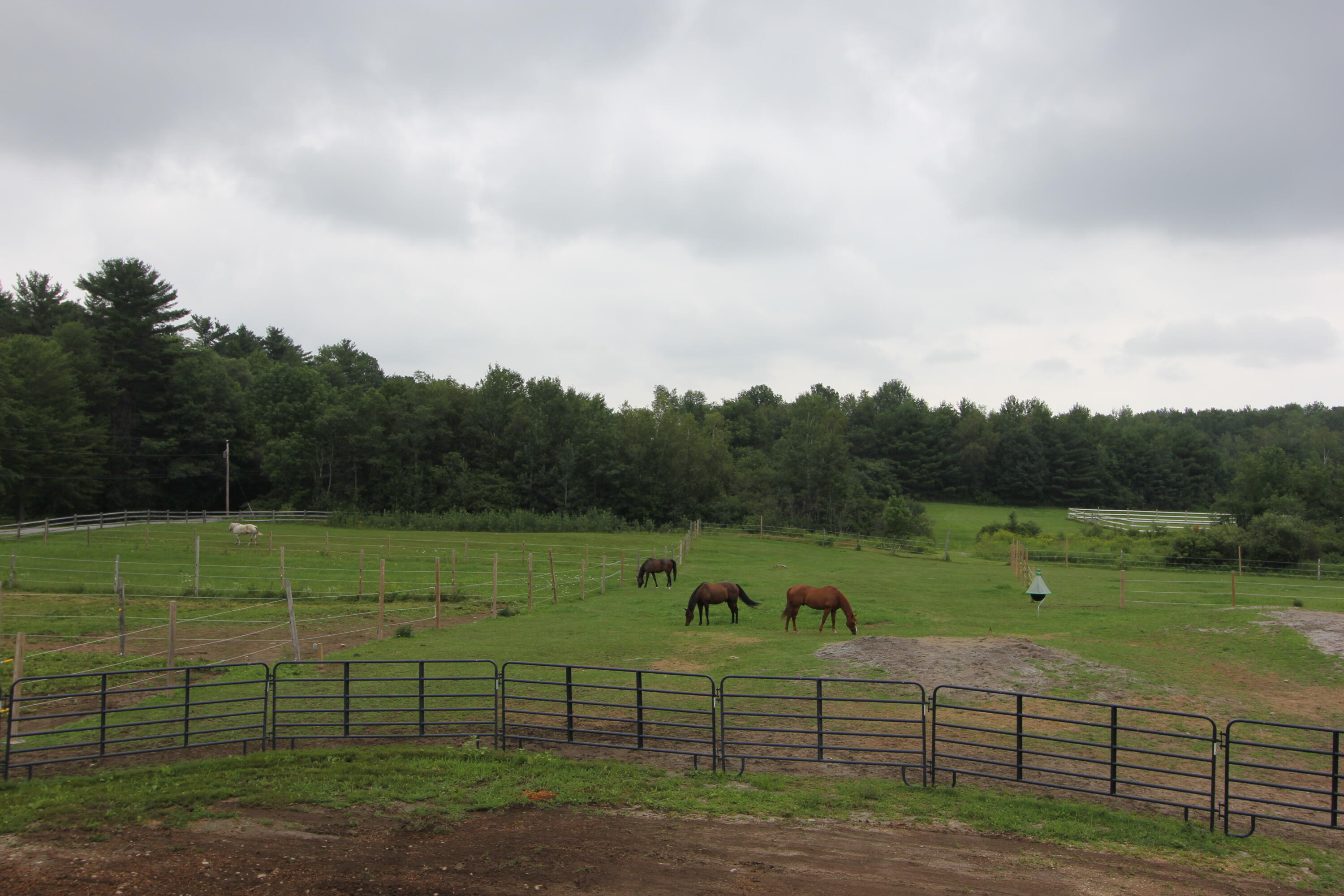415 Old Lewiston Road Winthrop, ME 04364 - Photo 150 of 155 IMG_5550