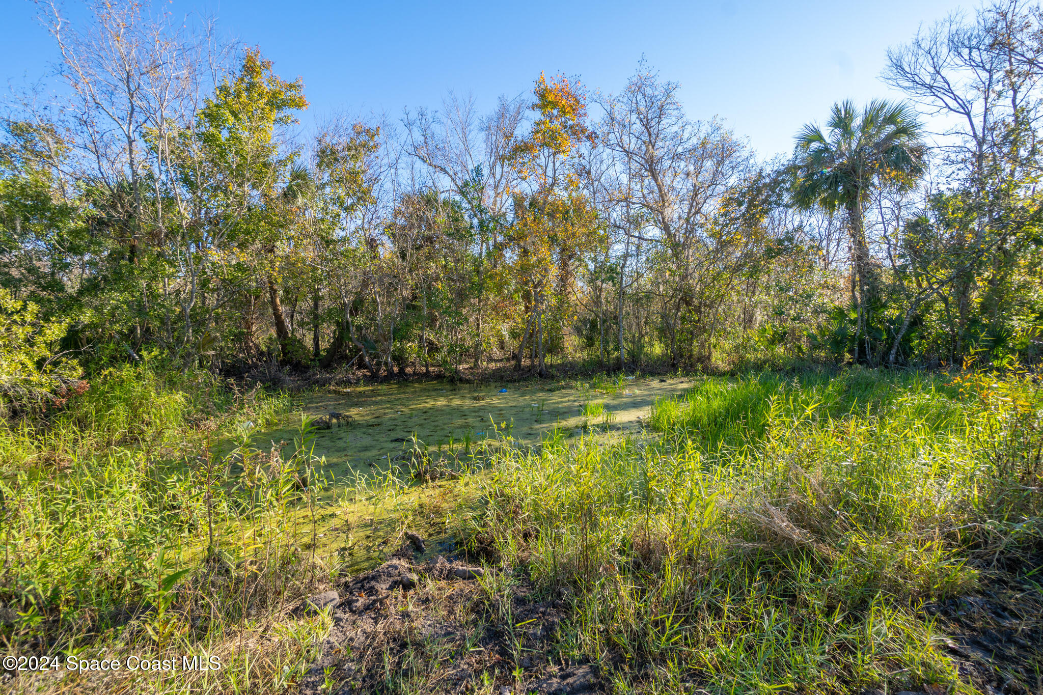 4763 Pine Needle Road Mims, FL 32754 - Photo 29 of 49 4763 Pine Needle St, Mims, FL 32754-3