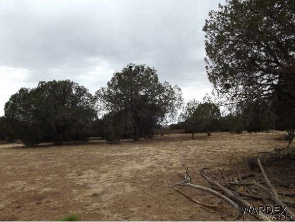 Na Diamond M Ranch Road Kingman, AZ 86401 - Photo 1 of 5 Gallery Image 1