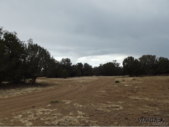 Na Diamond M Ranch Road Kingman, AZ 86401 - Photo 2 of 5 Gallery Image 2