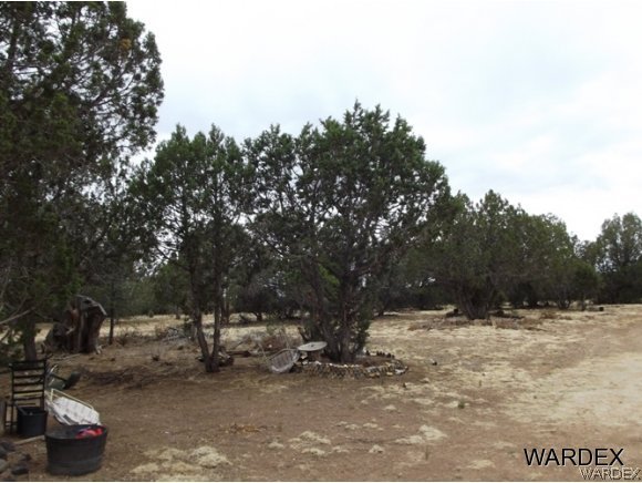 Na Diamond M Ranch Road Kingman, AZ 86401 - Photo 3 of 5 Gallery Image 3