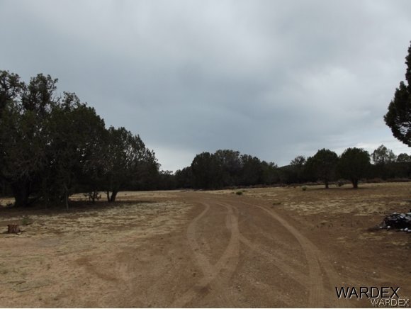 Na Diamond M Ranch Road Kingman, AZ 86401 - Photo 4 of 5 Gallery Image 4