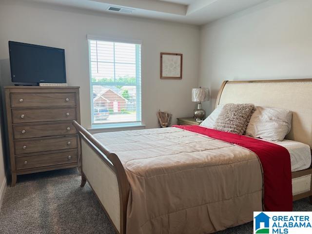 3633 Wind Ridge Lane Bessemer, AL 35022 - Photo 39 of 50