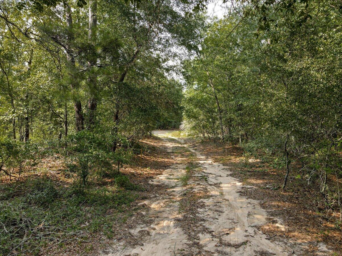 0 Millers Pond Road, Unit 4 Salley, SC 29137 - Photo 10 of 18
