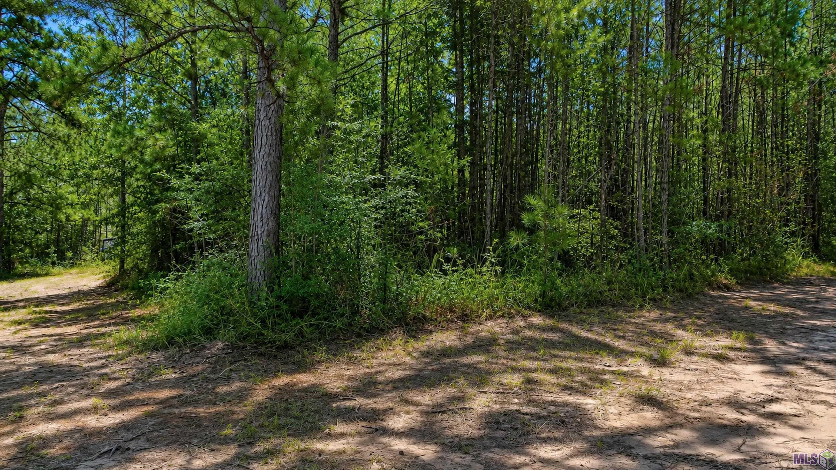 Tbd Jerusalem Road Liberty, MS 39645 - Photo 10 of 60 Gallery Image 10