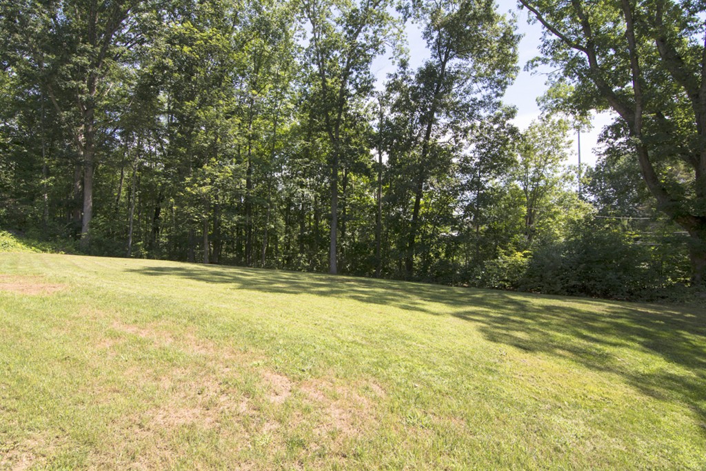 7 Town Farm Road North Brookfield, MA 01535 - Photo 24 of 25 Gallery Image 24