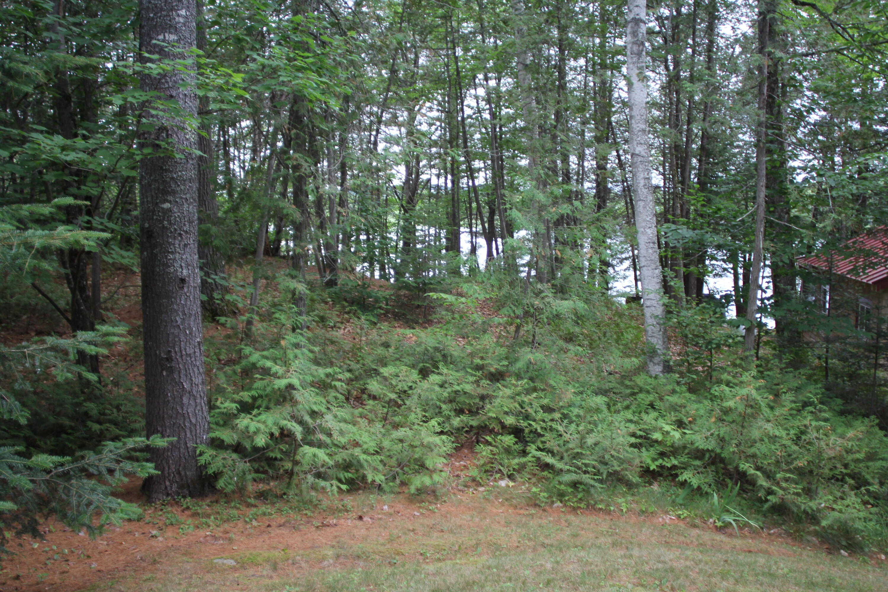 85 Laney Road Madison, ME 04950 - Photo 16 of 45 IMG_7767