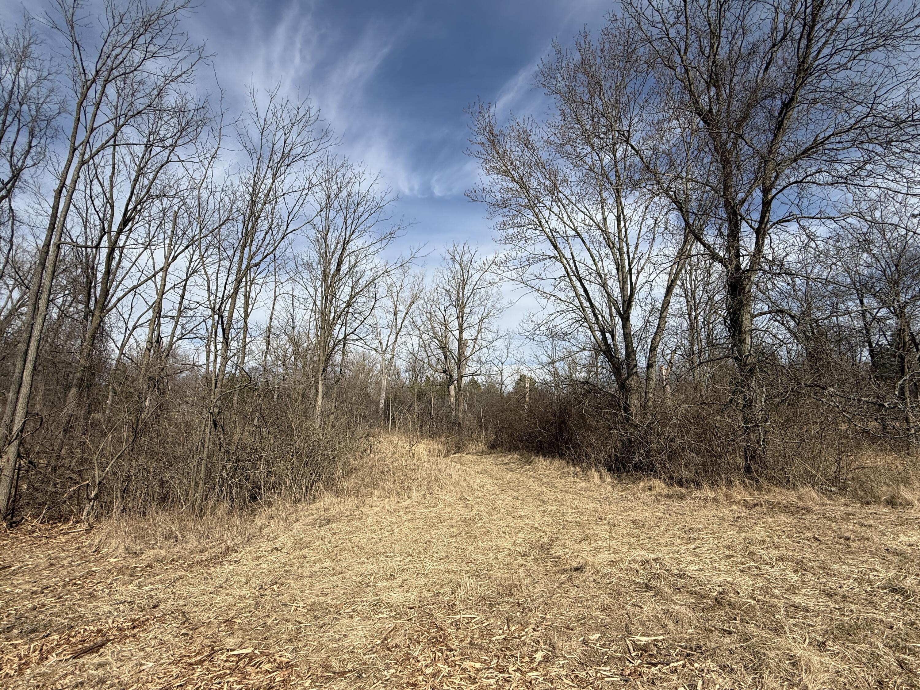 1688-1696 Warren Road Ann Arbor, MI 48105 - Photo 10 of 20 IMG_9653