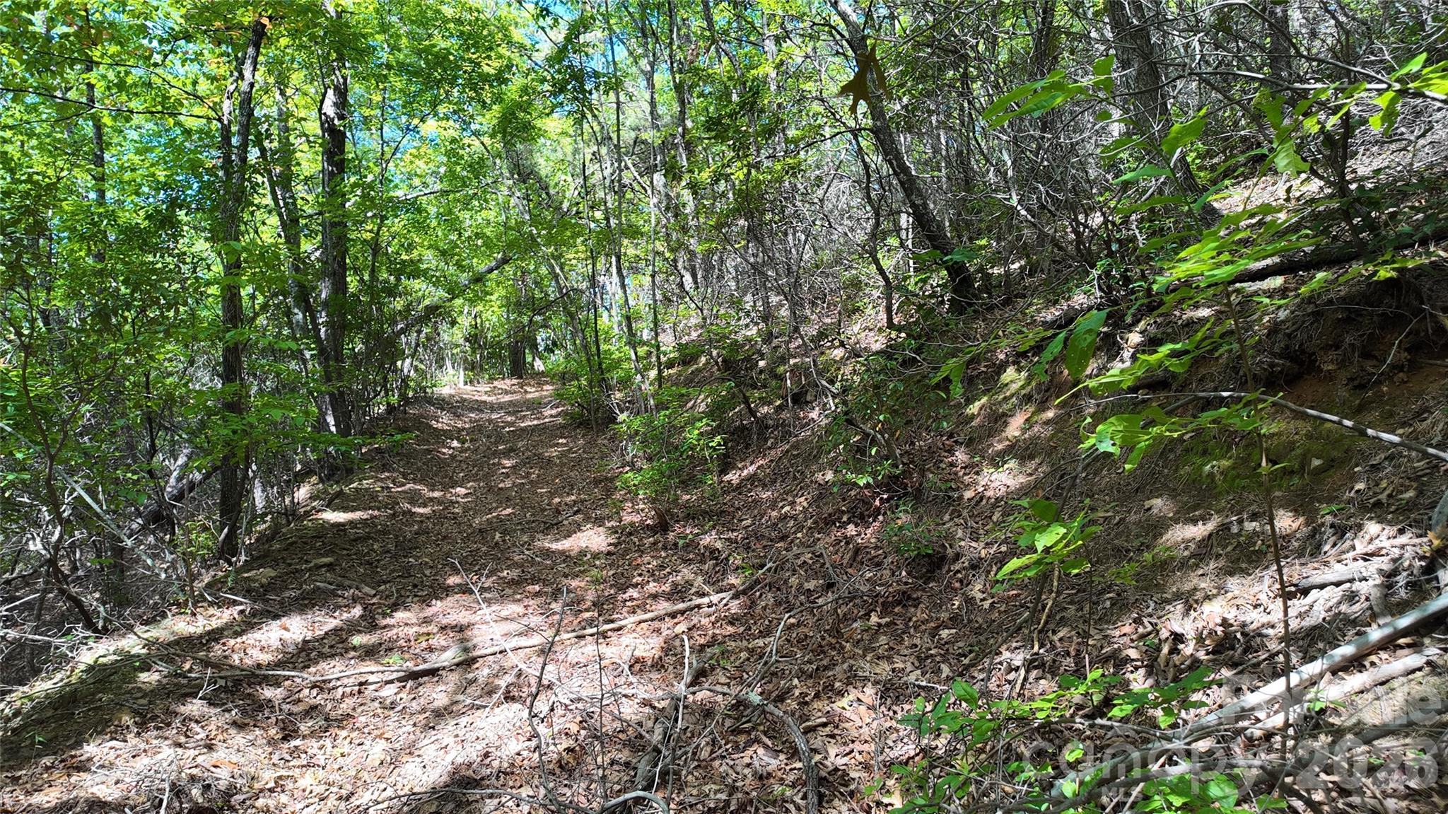 99999 Saw Branch Road Candler, NC 28715 - Photo 15 of 37 Gallery Image 15