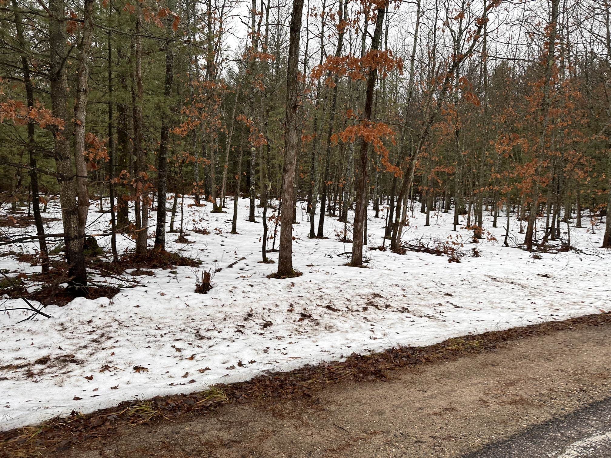 B Albrecht Road Interlochen, MI 49643 - Photo 3 of 6