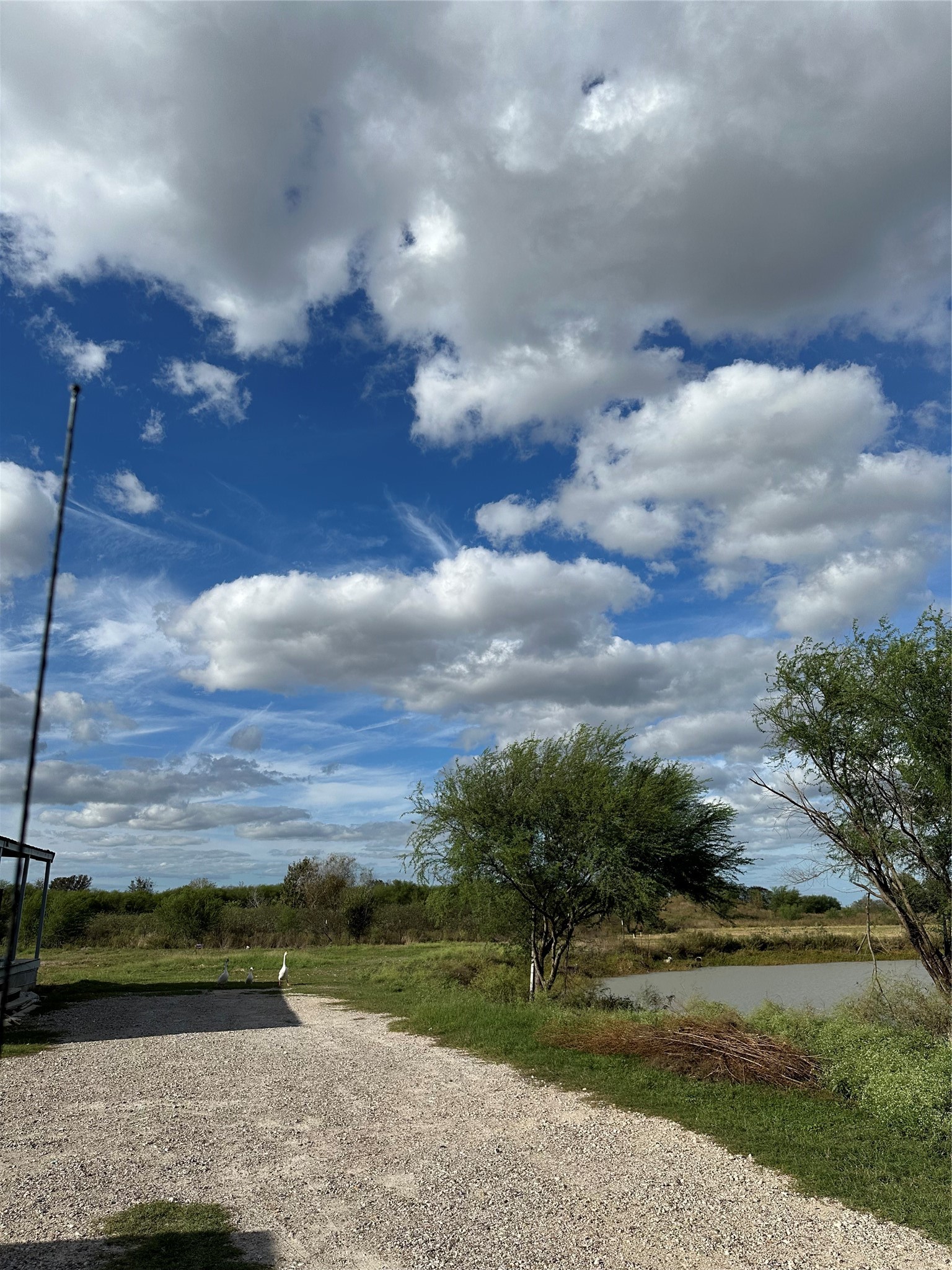 2134 FM 1875 Road Beasley, TX 77417 - Photo 2 of 7 pond and driveway