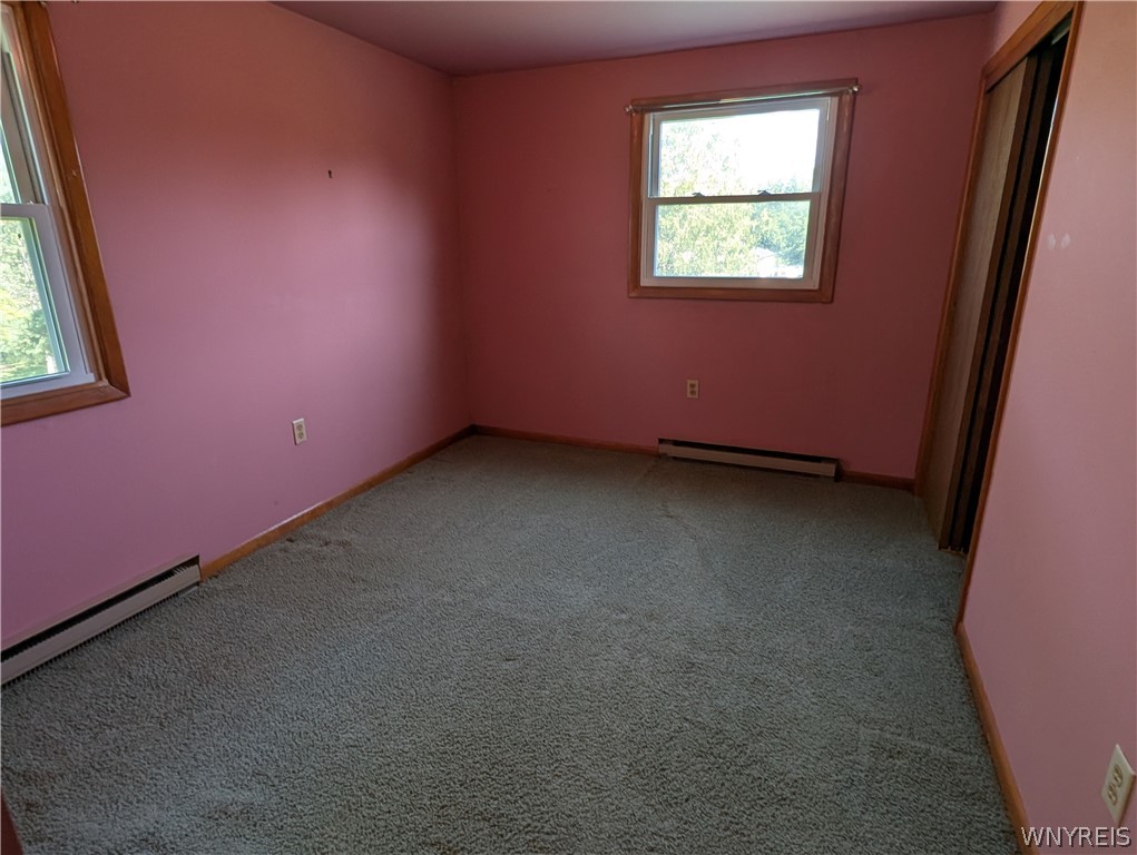 3402 Fruit Avenue Ridgeway, NY 14103 - Photo 31 of 50