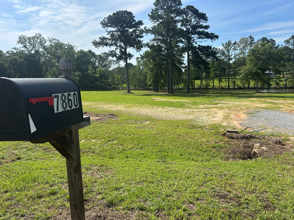 7697 Eddins Road Dothan, AL 36301 - Photo 11 of 65