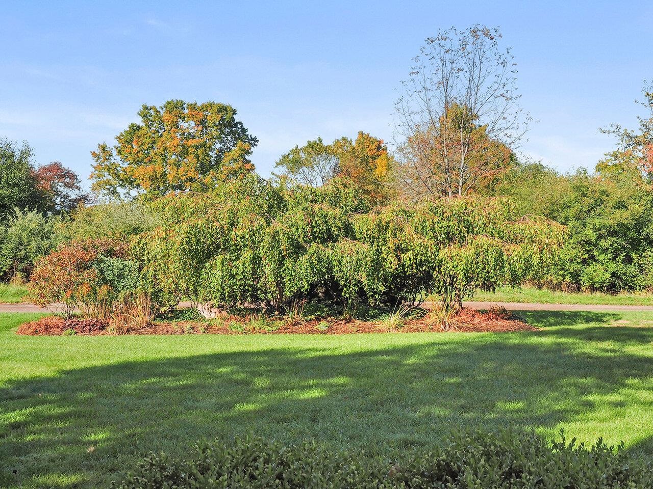 541 Golf Course Road South Burlington, VT 05403 - Photo 22 of 34