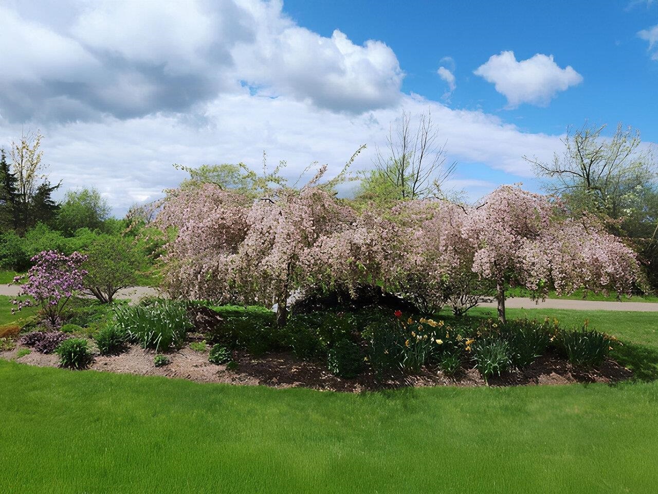 541 Golf Course Road South Burlington, VT 05403 - Photo 8 of 34