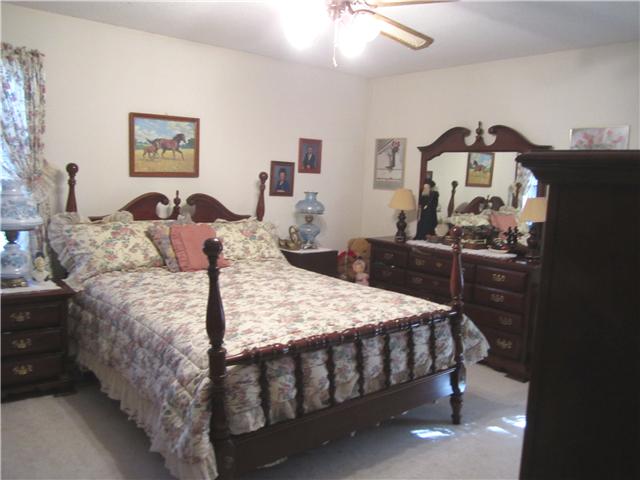 221 Robinhood Road Pulaski, TN 38478 - Photo 9 of 17 Master Berdroom