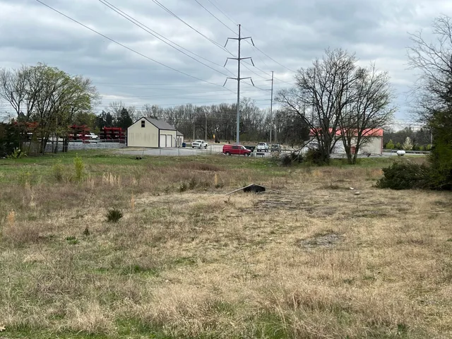 a view of outdoor space with garden and trees
