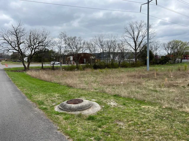 a view of a backyard with green space