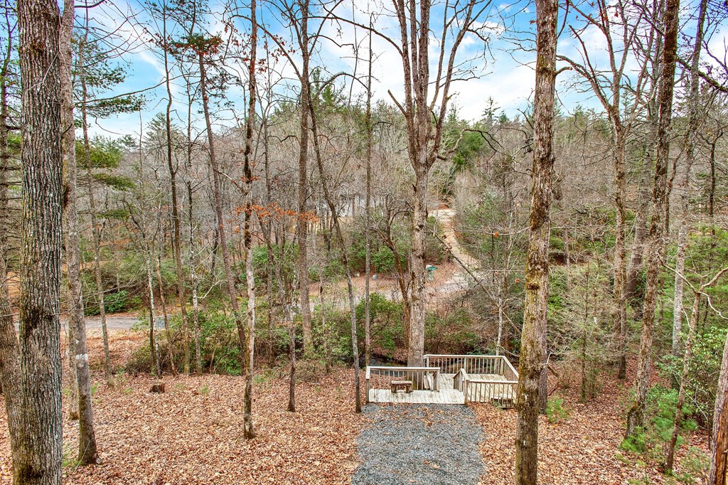 57 Mangum's Trail Blue Ridge, GA 30513 - Photo 4 of 66 a backyard of a building with trees
